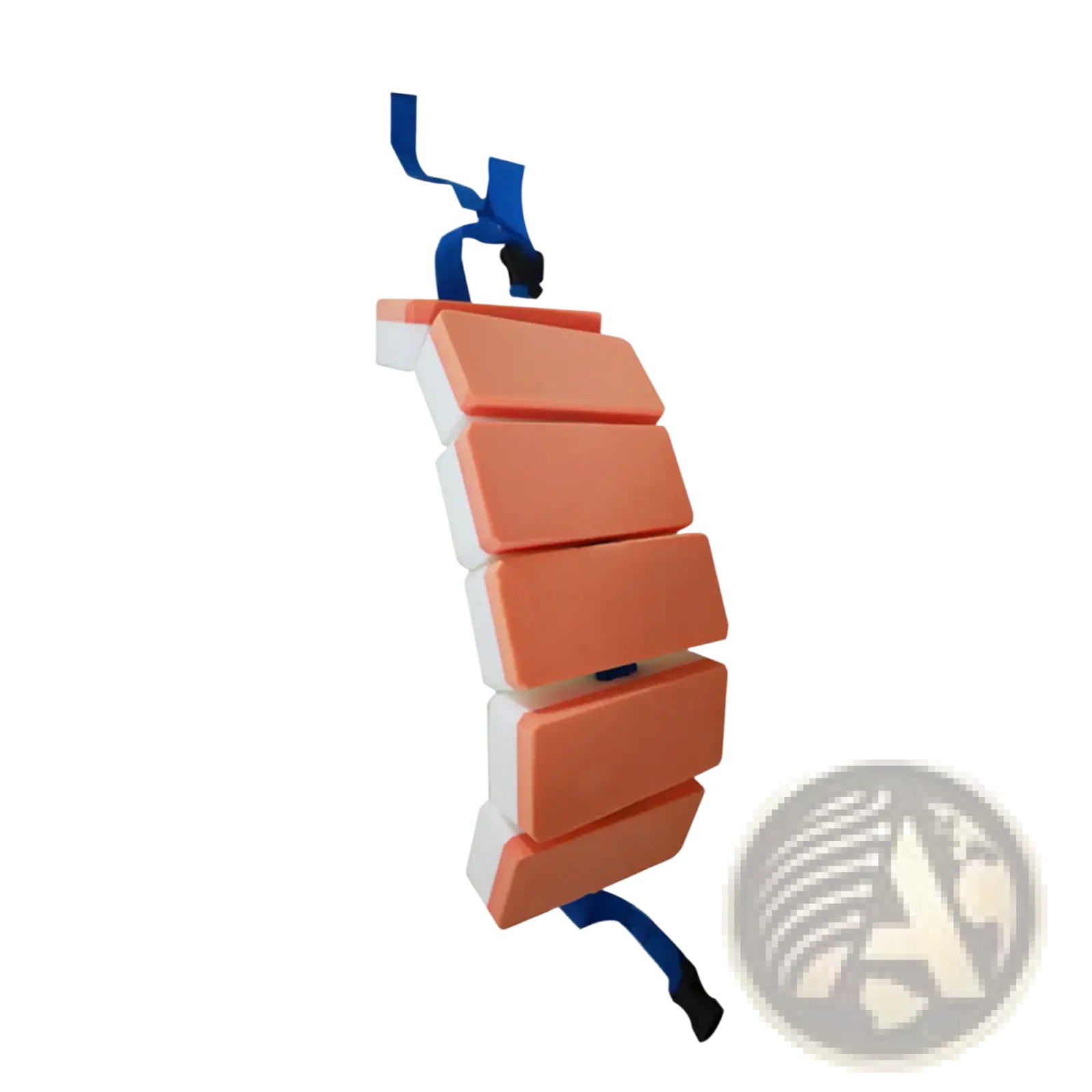 Kids eva swim training back float belt in orange and white segmented foam with blue straps for flotation support
