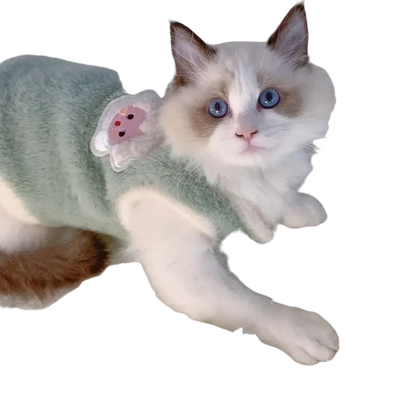A soft mint-green fuzzy winter sweater with a cute pink pig appliqué for kittens clothes and cats accessories