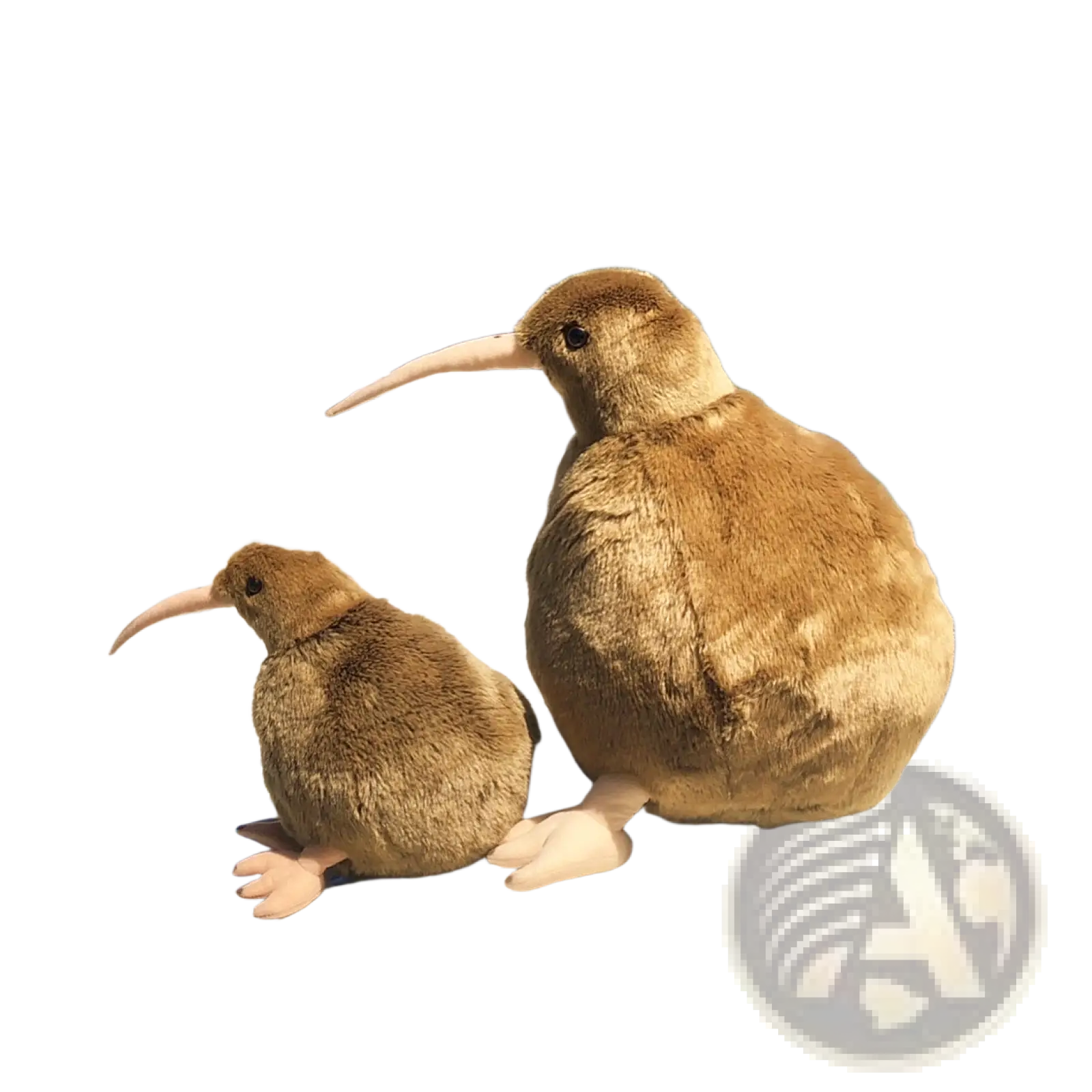 Two plush kiwi bird plush toys soft stuffed animals with brown fuzzy bodies and long beaks in 30cm and 50cm sizes