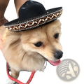 Black felt knitted dog sombrero hat with braided brown and white trim for pet costume use
