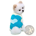 A fluffy white pomeranian wearing a turquoise knitted wool dog sweater with a white heart design