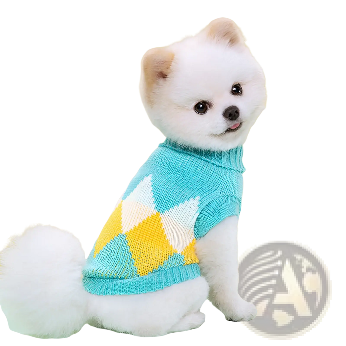 A fluffy white pomeranian wearing a teal yellow and cream argyle knitted dog sweater made of wool for pets