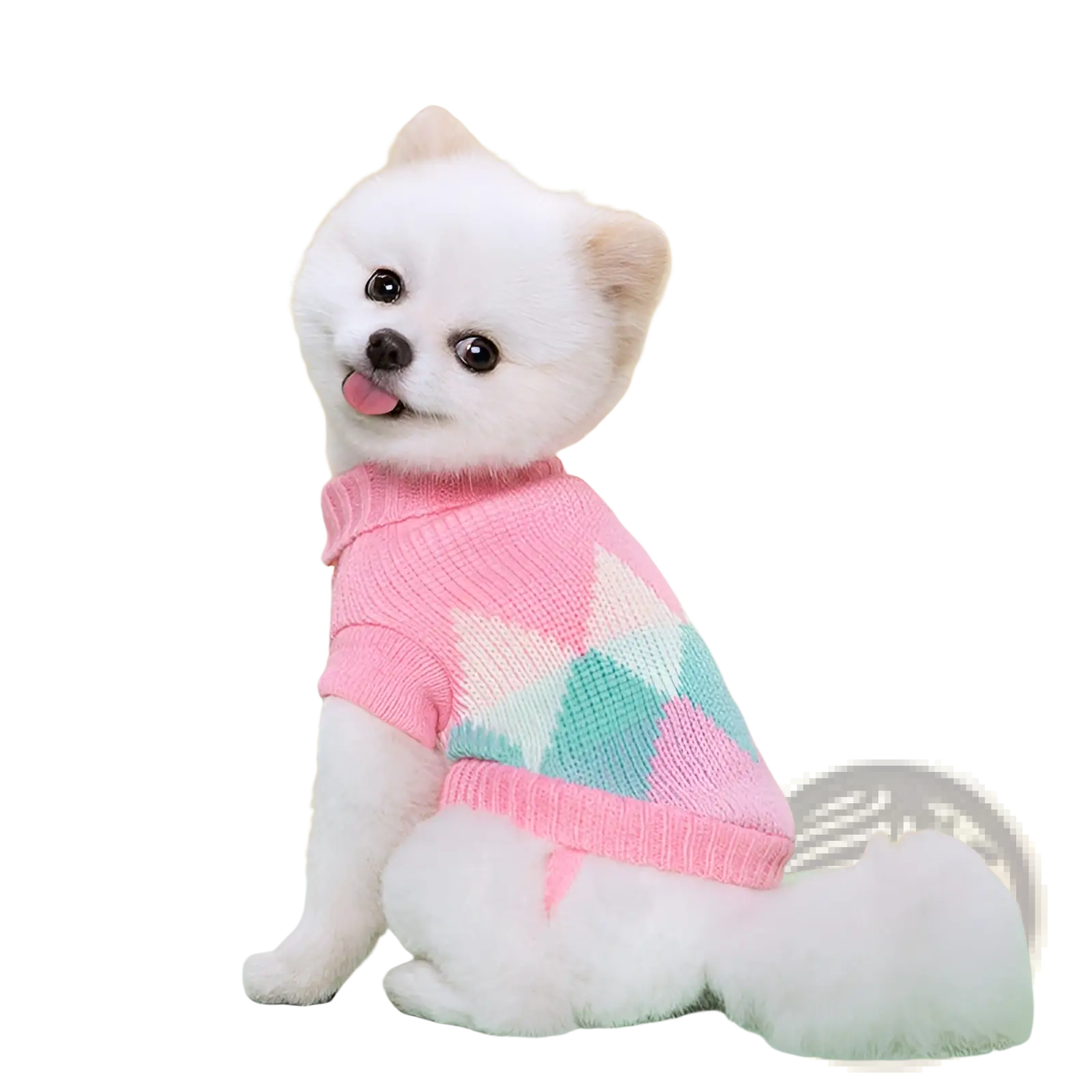 A fluffy white dog wearing a pink knitted dog sweater with pastel geometric patterns in wool pet clothes