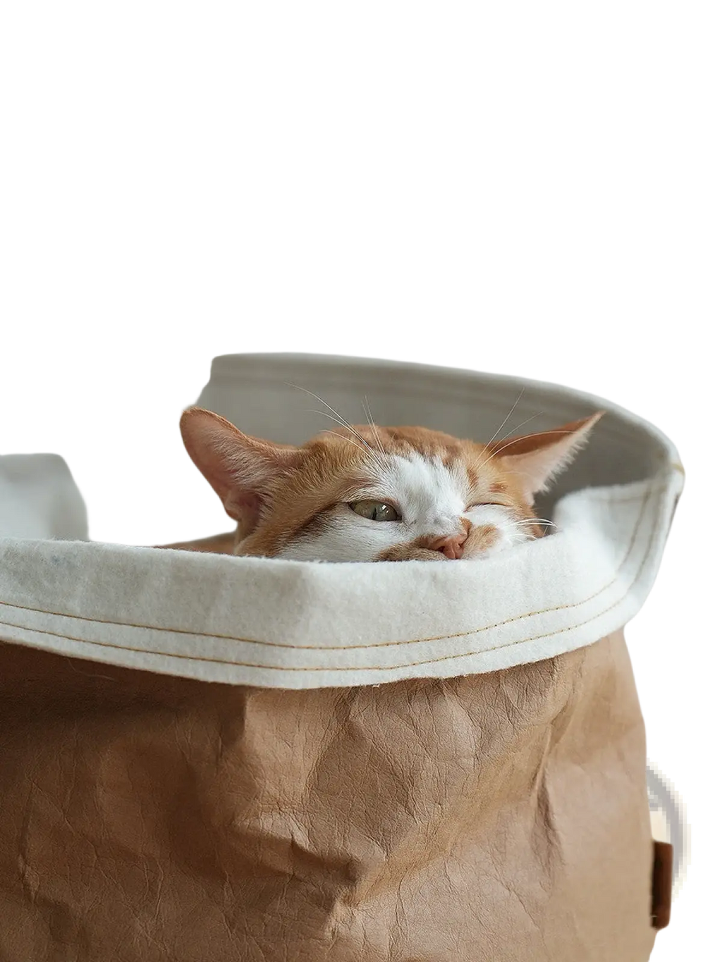 A cozy orange and white tabby cat rests inside a beige washable kraft paper pet bed round dog cat nest