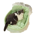 Green checkered plush cat sofa bed with lace edge sheer white ruffled trim for comfortable pet lounging