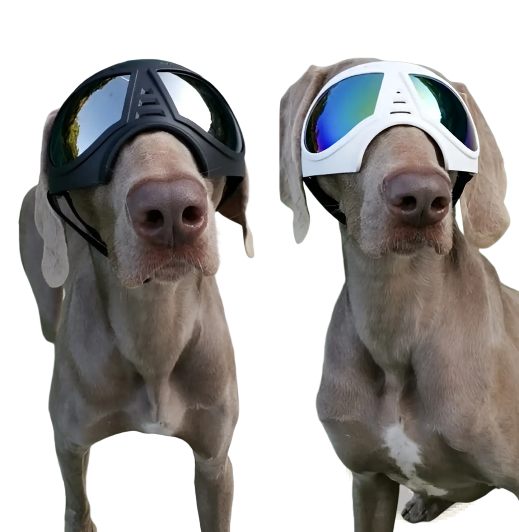 Large dog goggles black and white with reflective lenses uv protection windproof ski eyewear for outdoor use