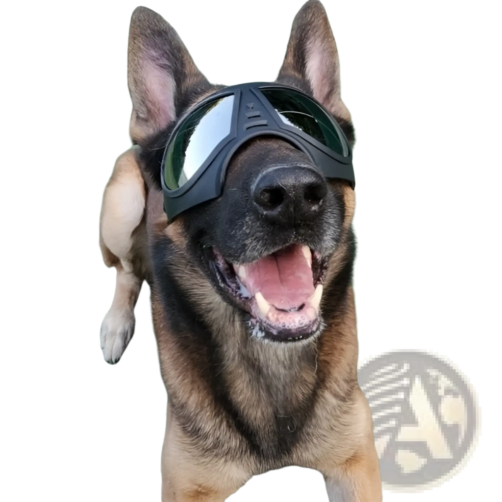 Black large dog goggles with sleek modern design reflective lenses uv protection and windproof ski eyewear