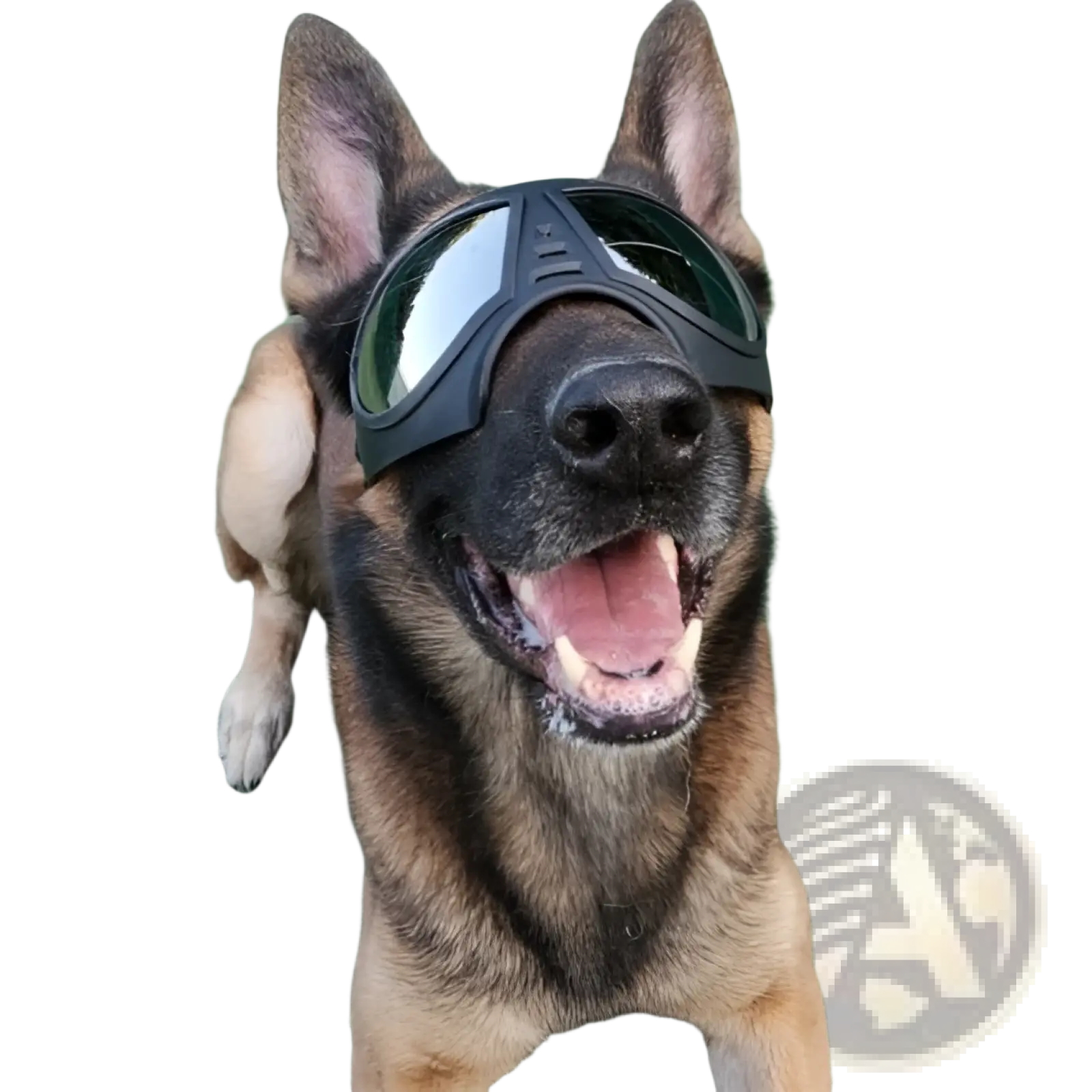 Black large dog goggles with sleek modern design reflective lenses uv protection and windproof ski eyewear