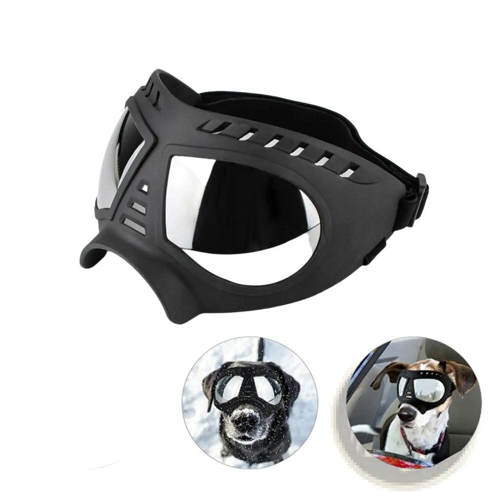 Black dog ski goggles with reflective silver lens and adjustable strap providing uv protection and windproof eyewear