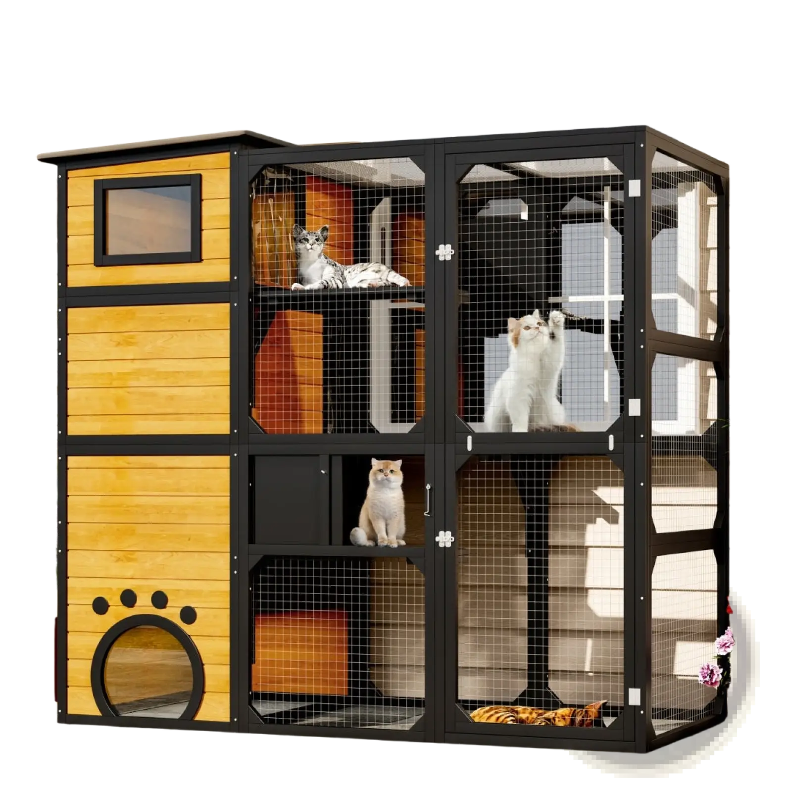 Large outdoor catio 4 tier wooden cat enclosure with black metal frame yellow panels and wire mesh doors