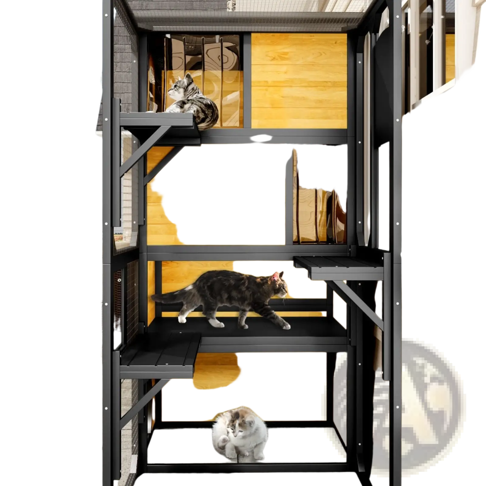 Large outdoor catio 4 tier wooden cat enclosure with black metal frame light wood panels and transparent mesh sides