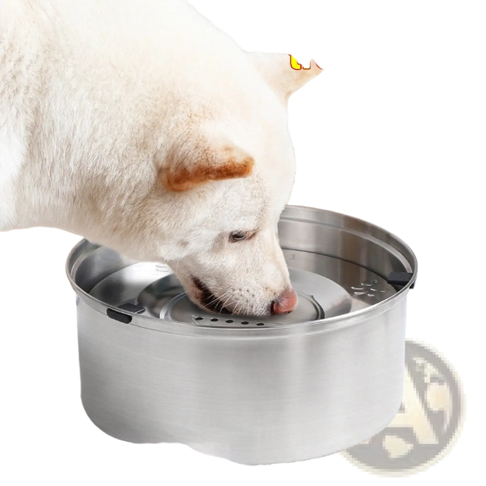 Large stainless steel pet water bowl in silver with circular base and perforated top for continuous hydration