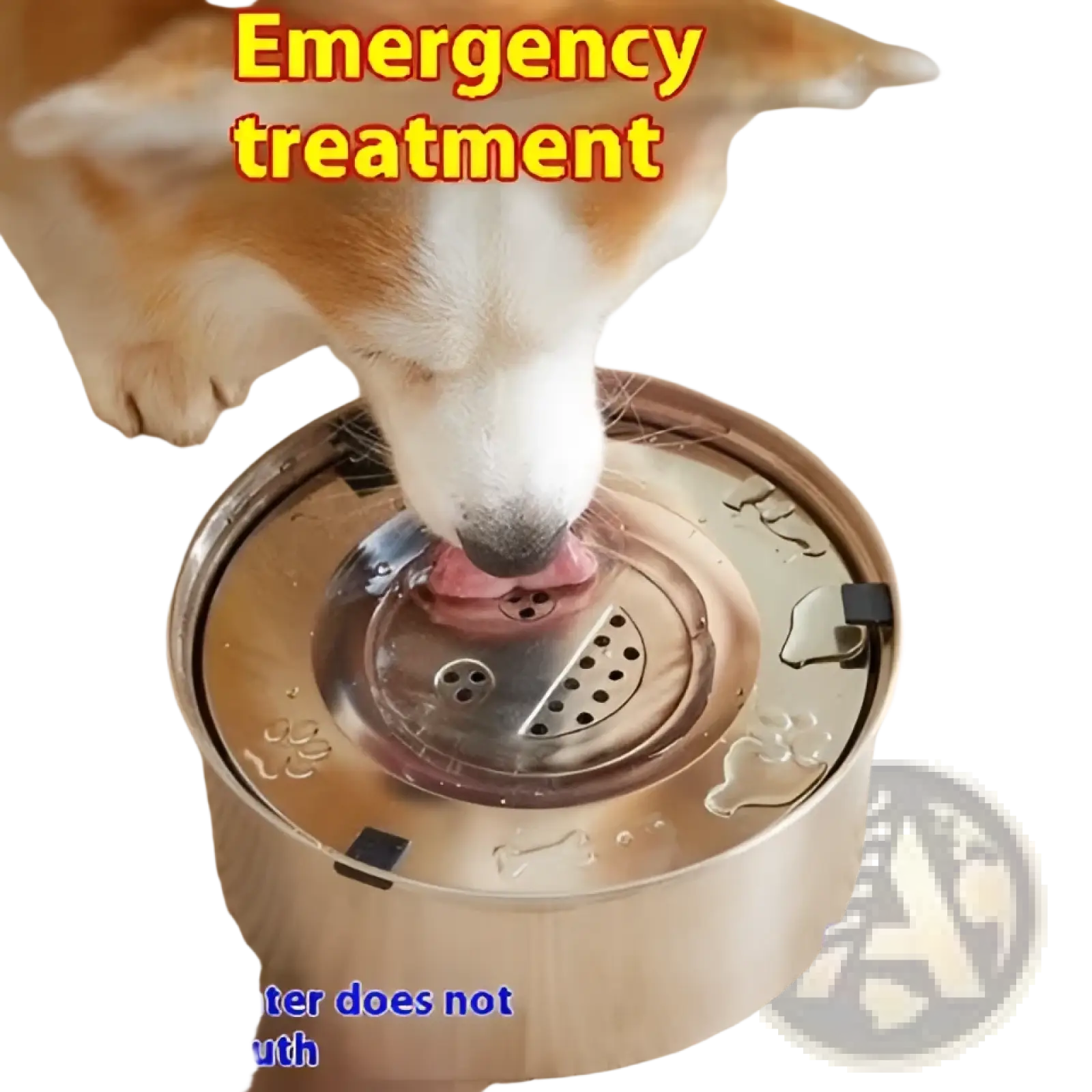 A large stainless steel pet water bowl with a sleek circular design featuring paw print embossing