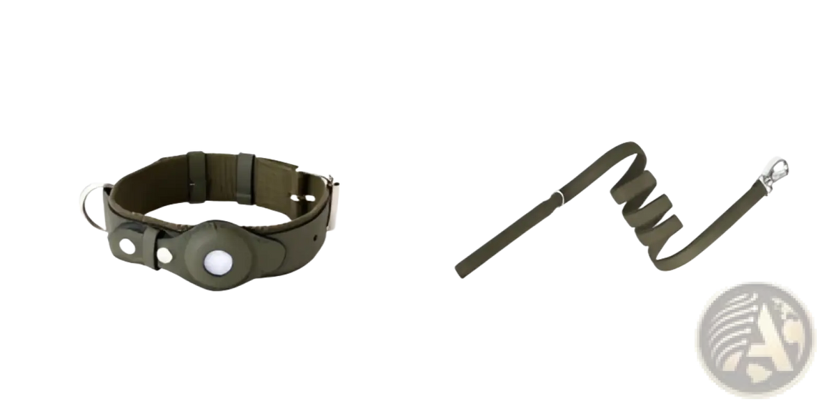 Olive green leather airtag dog collar with silver metal hardware and circular buckle for protective pet tracking