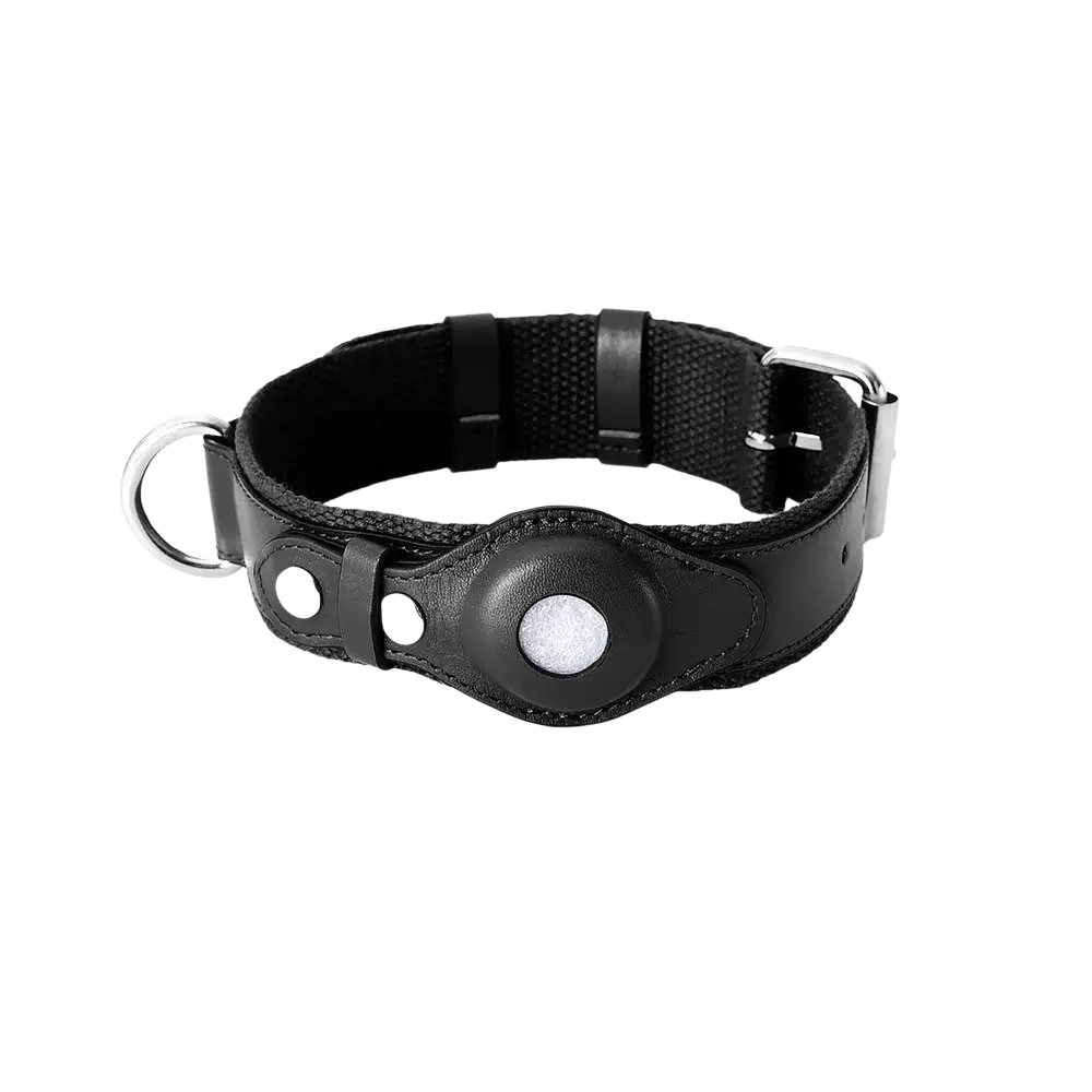 Black leather dog collar with silver buckle and d-ring featuring a circular attachment for Airtag in olive green