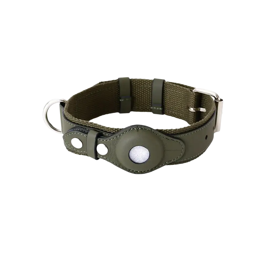 Olive green canvas dog collar with leather accents and silver metal buckle from leather dog collar and leash set airtag compatible