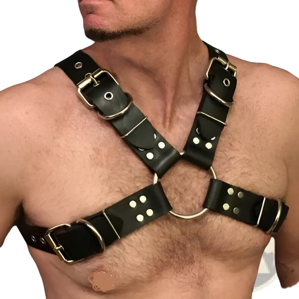 Black leather harness with silver-toned metal buckles and rings for adults shown from the back side