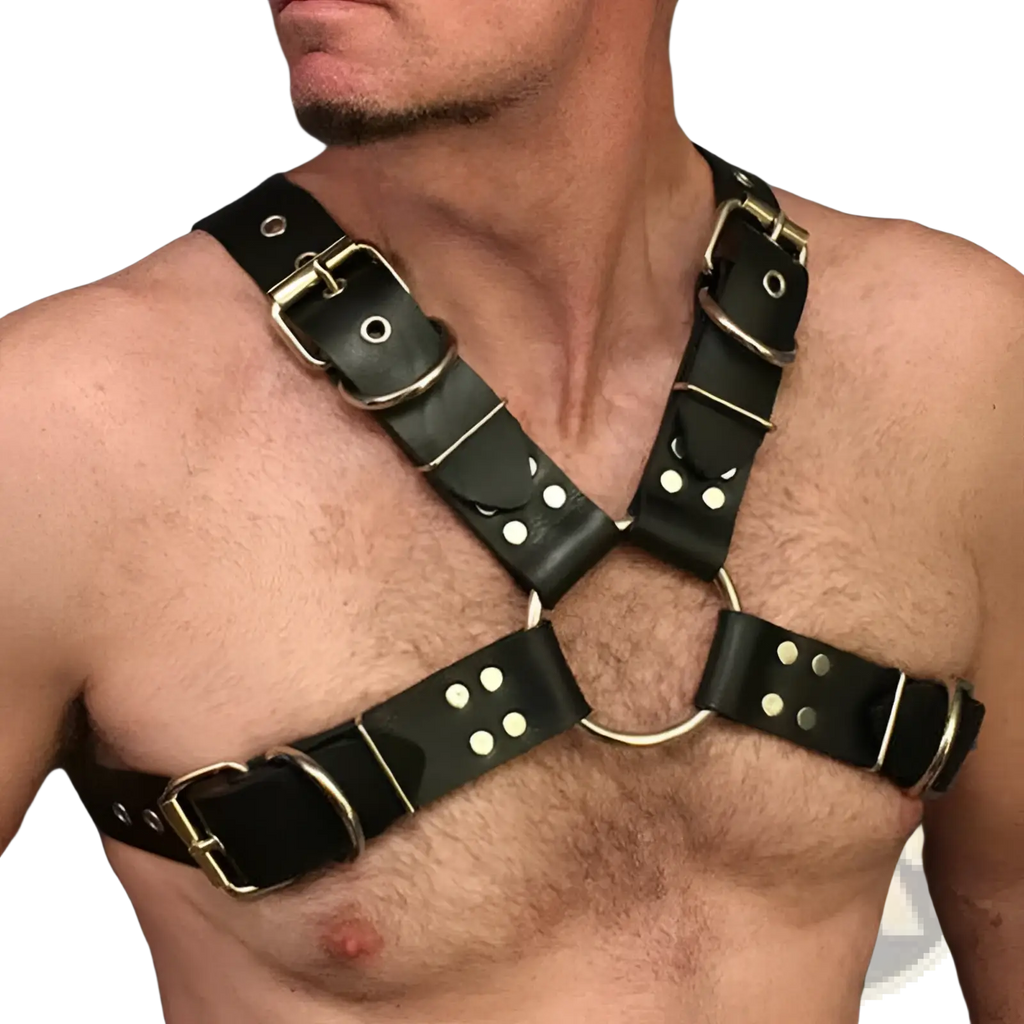 Black leather harness with silver-toned metal buckles and circular rings for adults