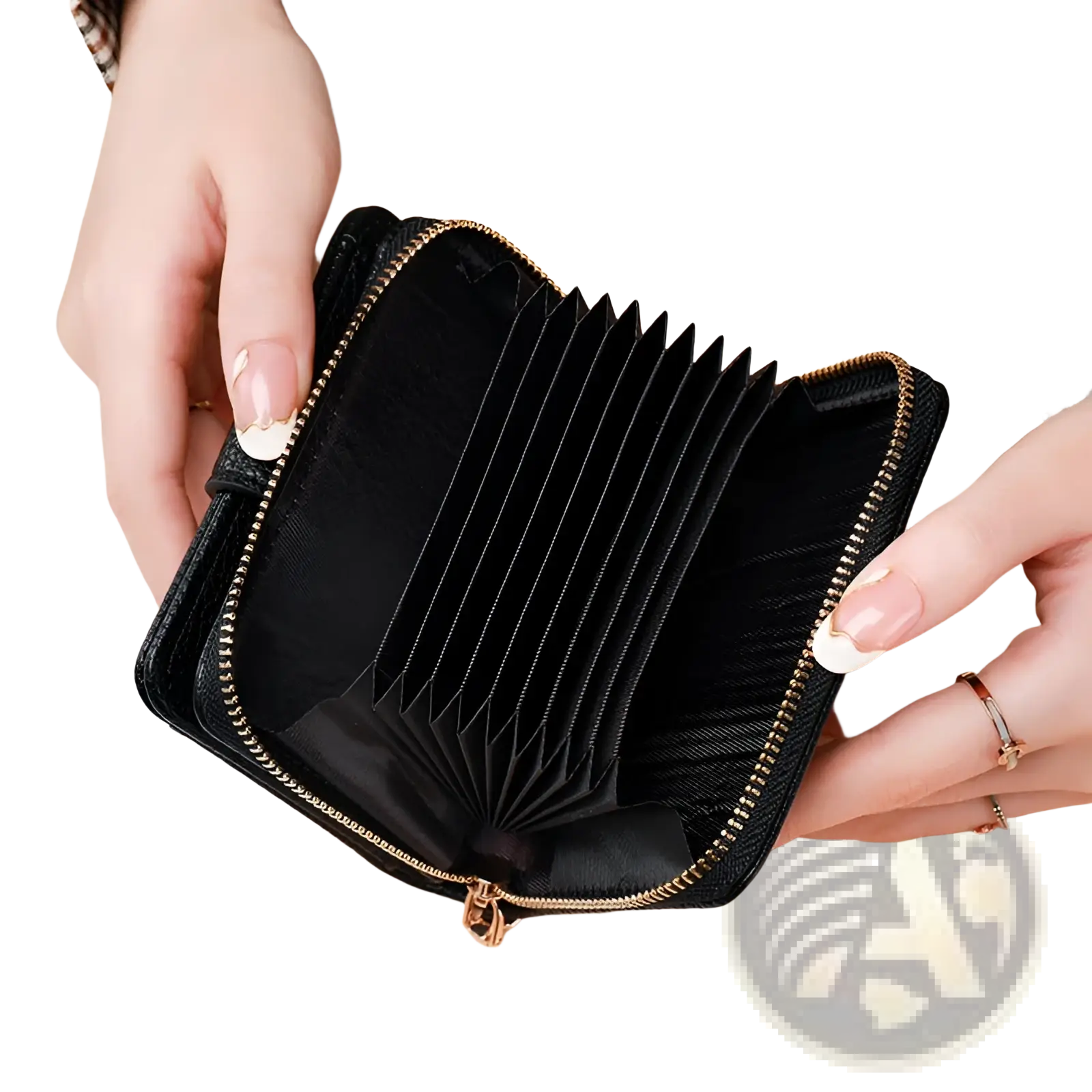 Black leather mini organ wallet with gold zipper and accordion-style card slots with button closure