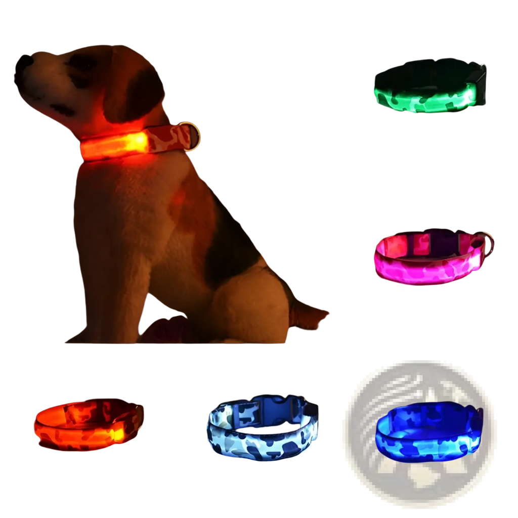 Led camouflage glowing dog collar featuring vibrant red green pink orange and blue glowing patterns for visibility