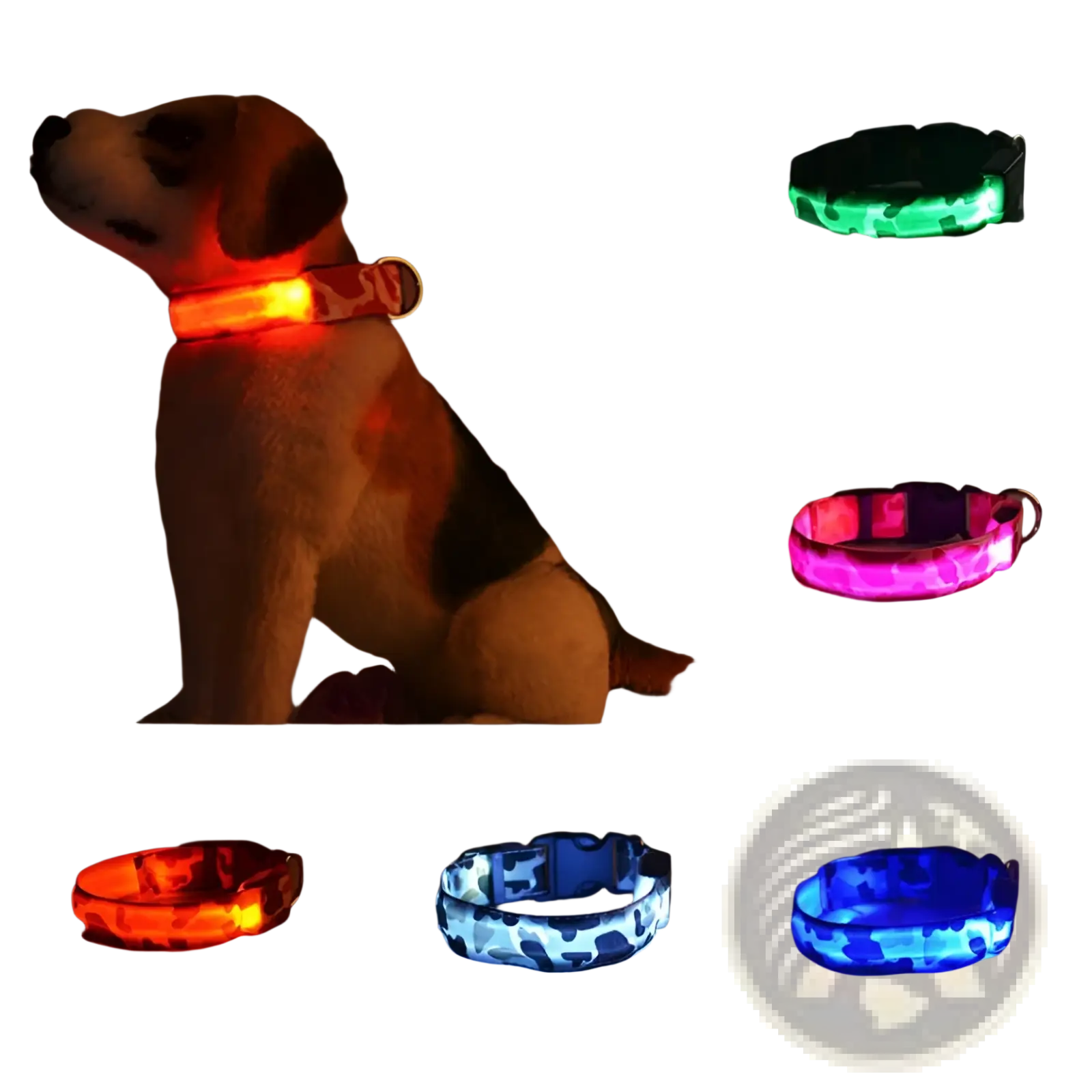 Led camouflage glowing dog collar featuring vibrant red green pink orange and blue glowing patterns for visibility