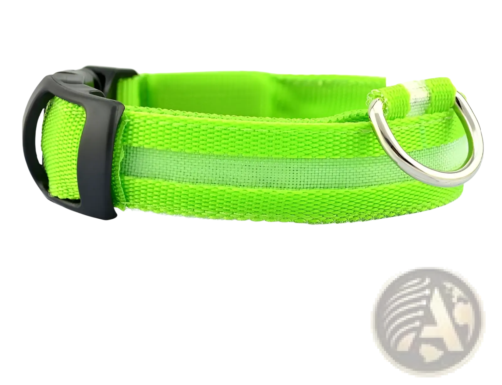Led dog collar night safety glowing nylon pet leash in bright neon green with black buckle and silver metal d-ring