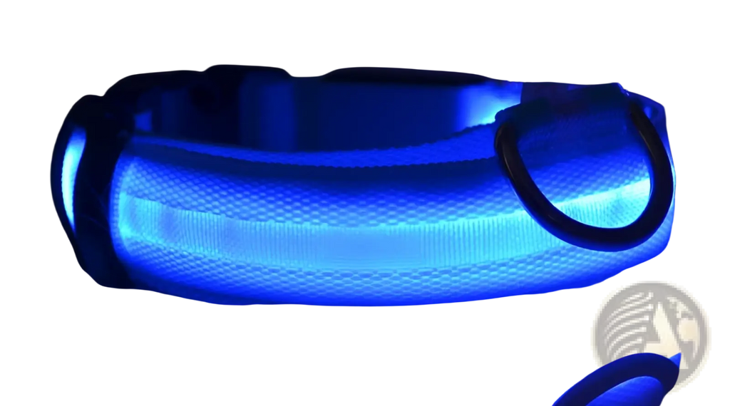 Led dog collar night safety glowing nylon pet leash with blue LED light black metal ring and adjustable buckle