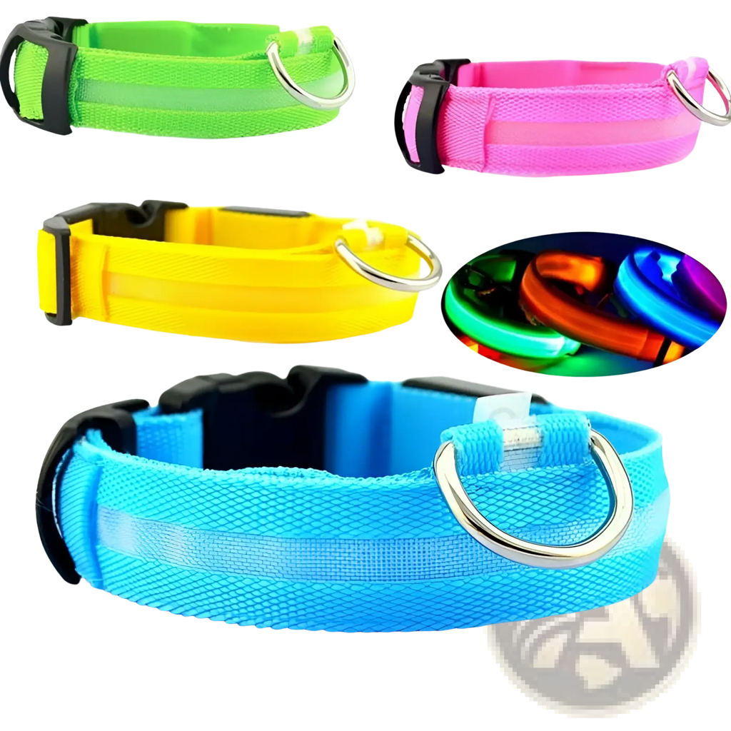 Led dog collar night safety glowing nylon pet leash in neon green pink yellow and blue with black buckles and silver d-rings