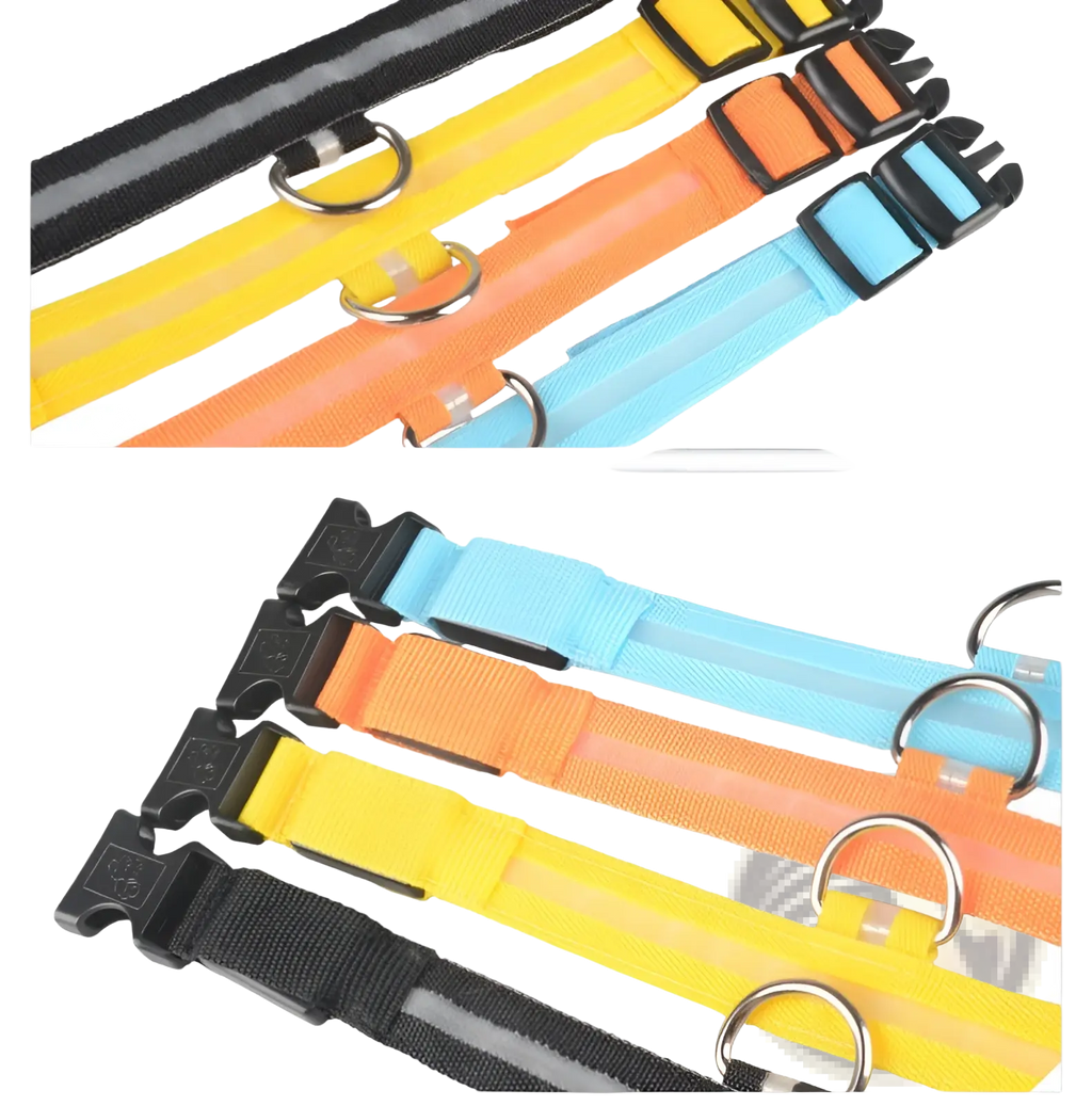 Led dog collars night safety glowing nylon pet leash in yellow orange blue and black with reflective adjustable buckles