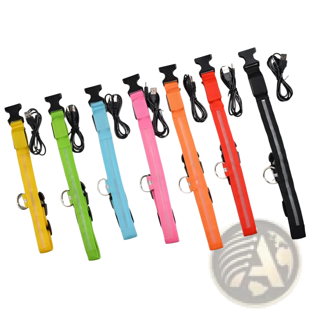 Led dog collar night safety glowing nylon pet leash in multiple colors with reflective strip metal buckle and usb charging cable