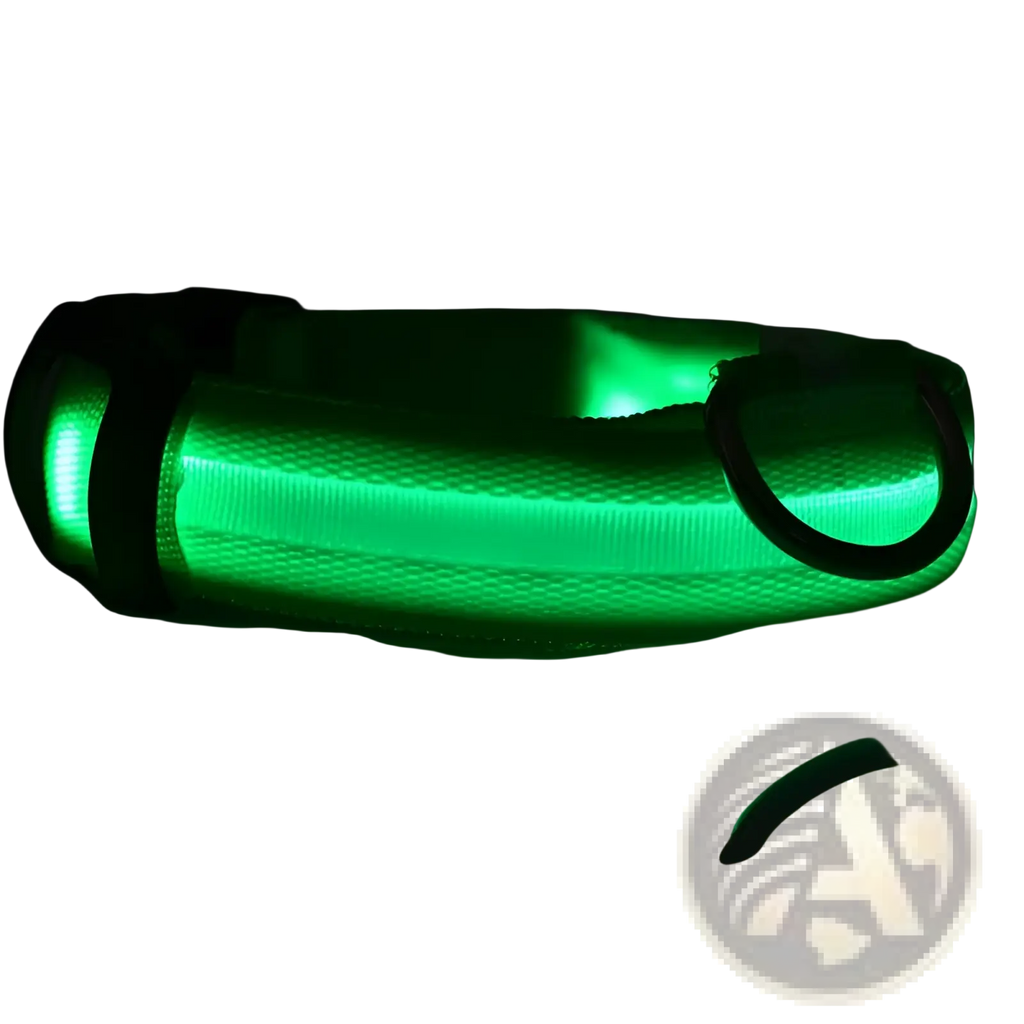 A glowing green reflective led dog collar with a black metal ring made of nylon for night safety and pet leash use