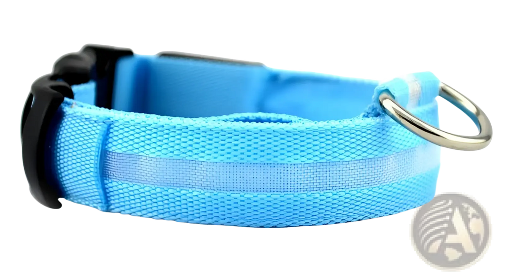 Light blue woven nylon led dog collar with black plastic buckle and silver metal ring for night safety and glowing