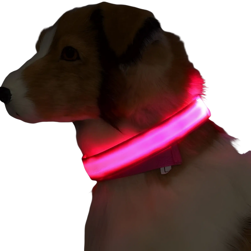 A glowing red led dog collar with a soft flexible nylon band for night safety and pet visibility