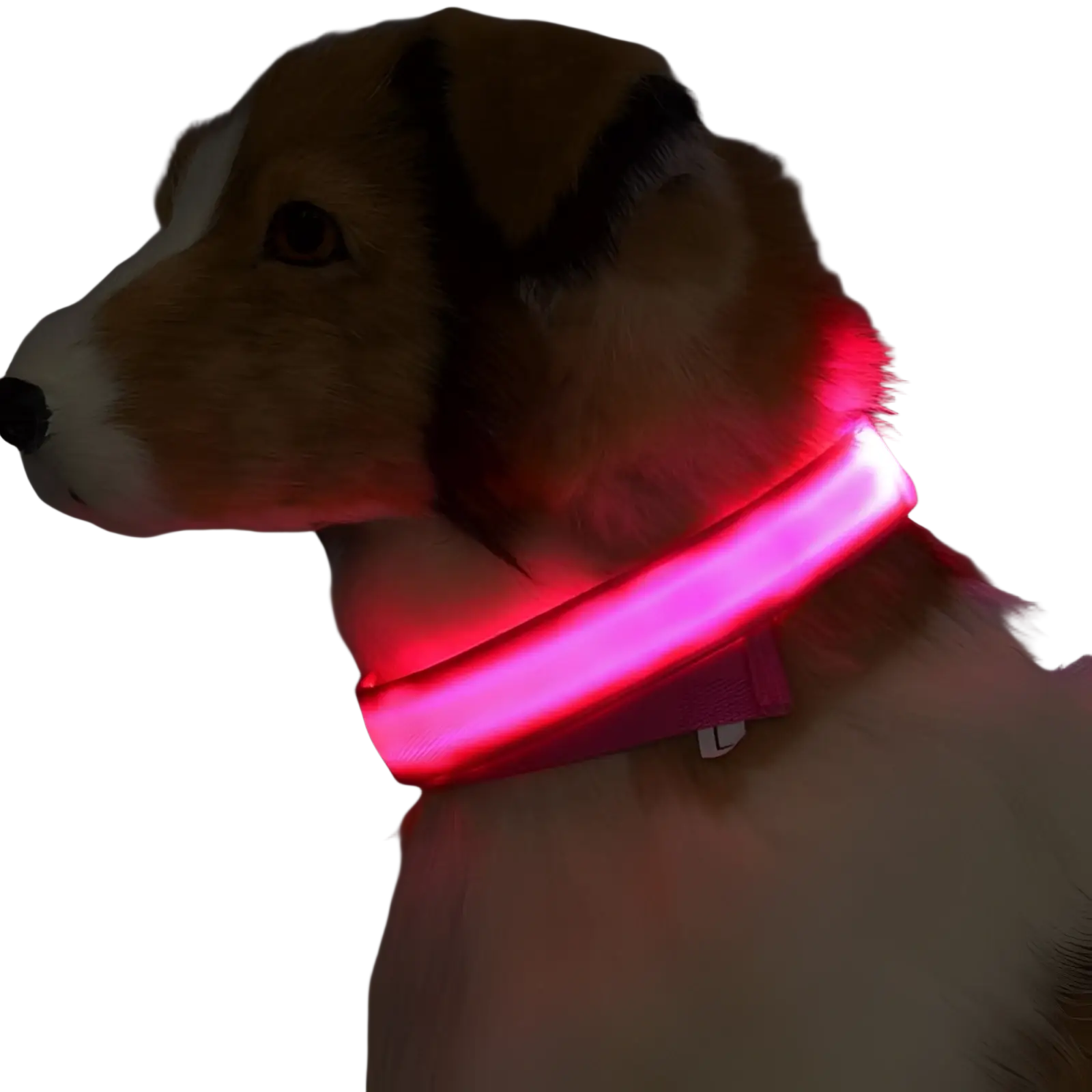 A glowing red led dog collar with a soft flexible nylon band for night safety and pet visibility