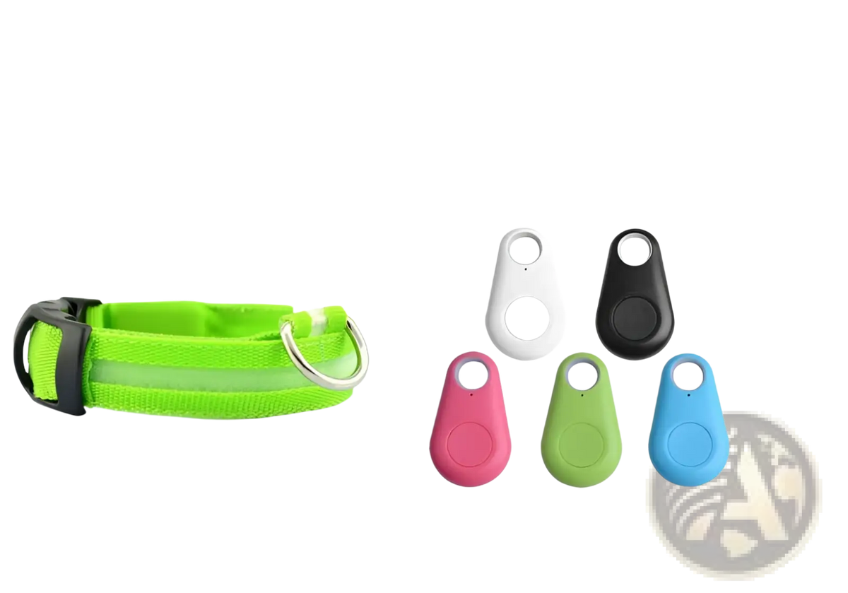 Bright green reflective led dog collar with black buckle and silver ring for rechargeable glowing pet safety light