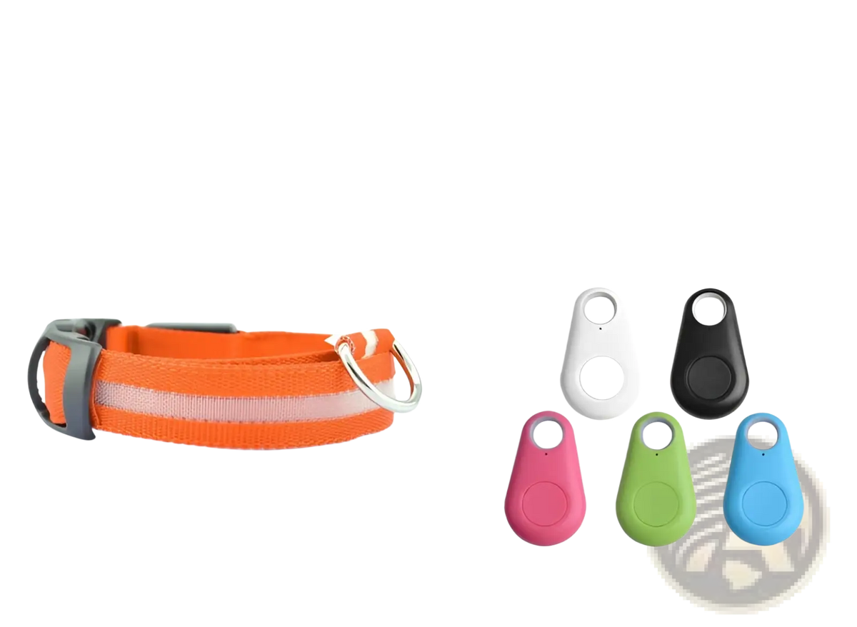 Orange reflective led dog collar with gray buckle and metal d-ring rechargeable glowing pet safety light
