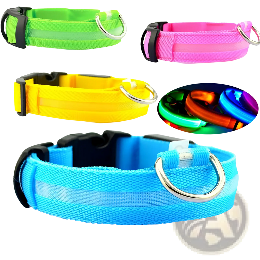 Brightly colored led dog collars in neon green pink yellow and blue with reflective strips and metal d-rings for pet safety