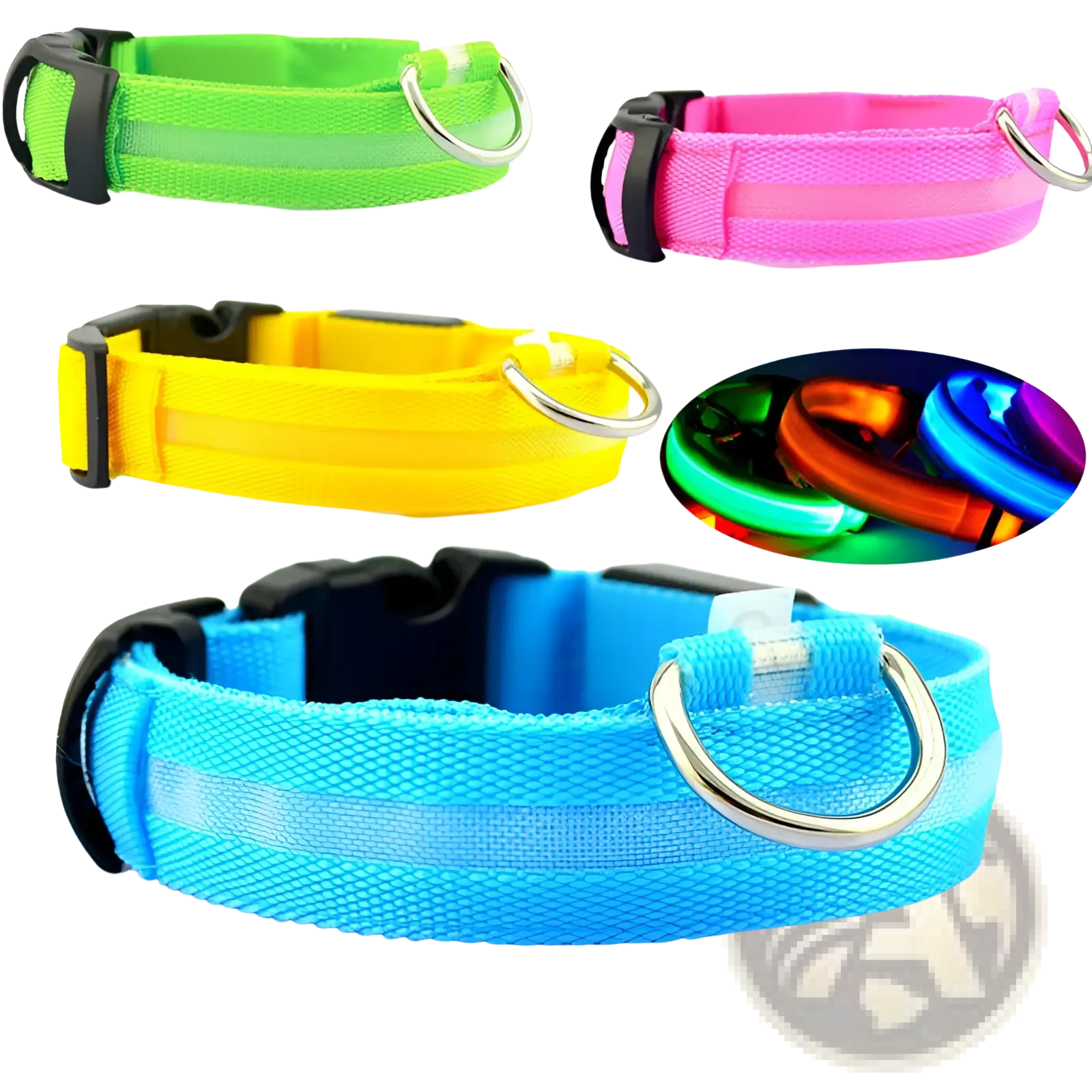 Brightly colored led dog collars in neon green pink yellow and blue with reflective strips and metal d-rings for pet safety