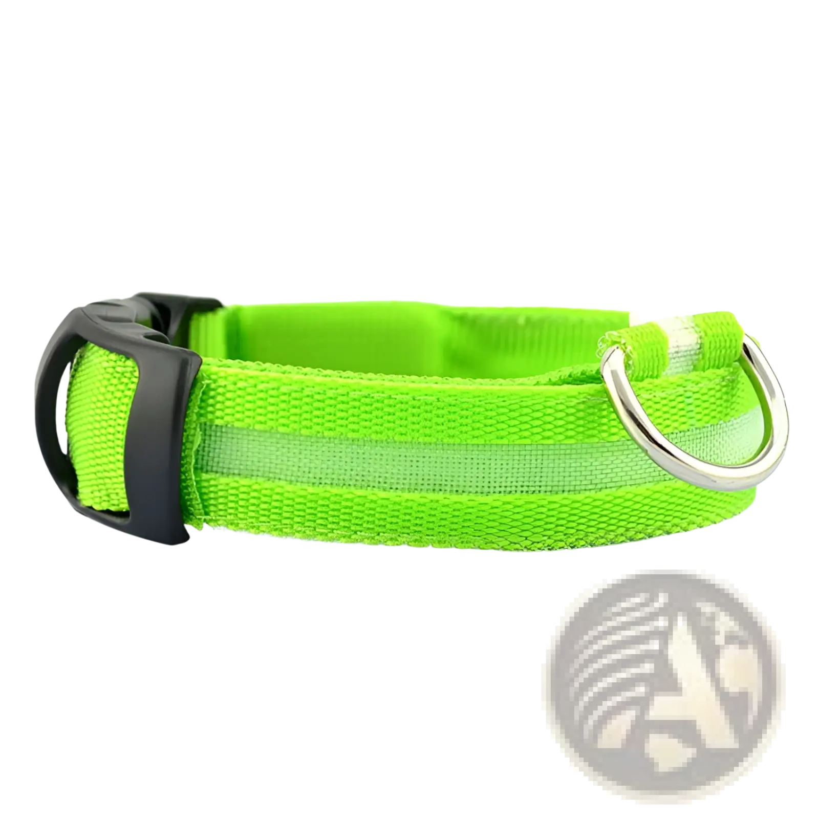 Led dog collar rechargeable glowing pet safety light in bright neon green fabric with black buckle and silver metal d-ring