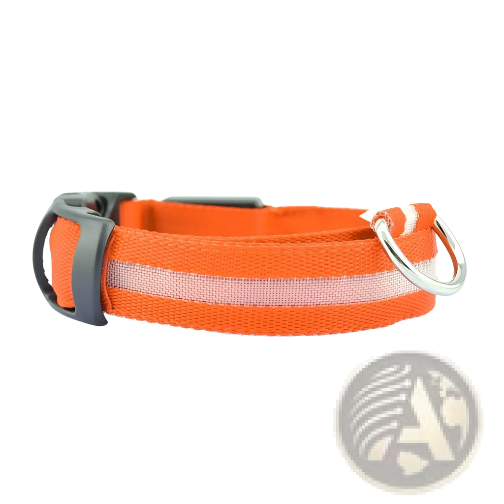 Bright orange fabric led dog collar with reflective stripe, black buckle, and rechargeable glowing pet safety light