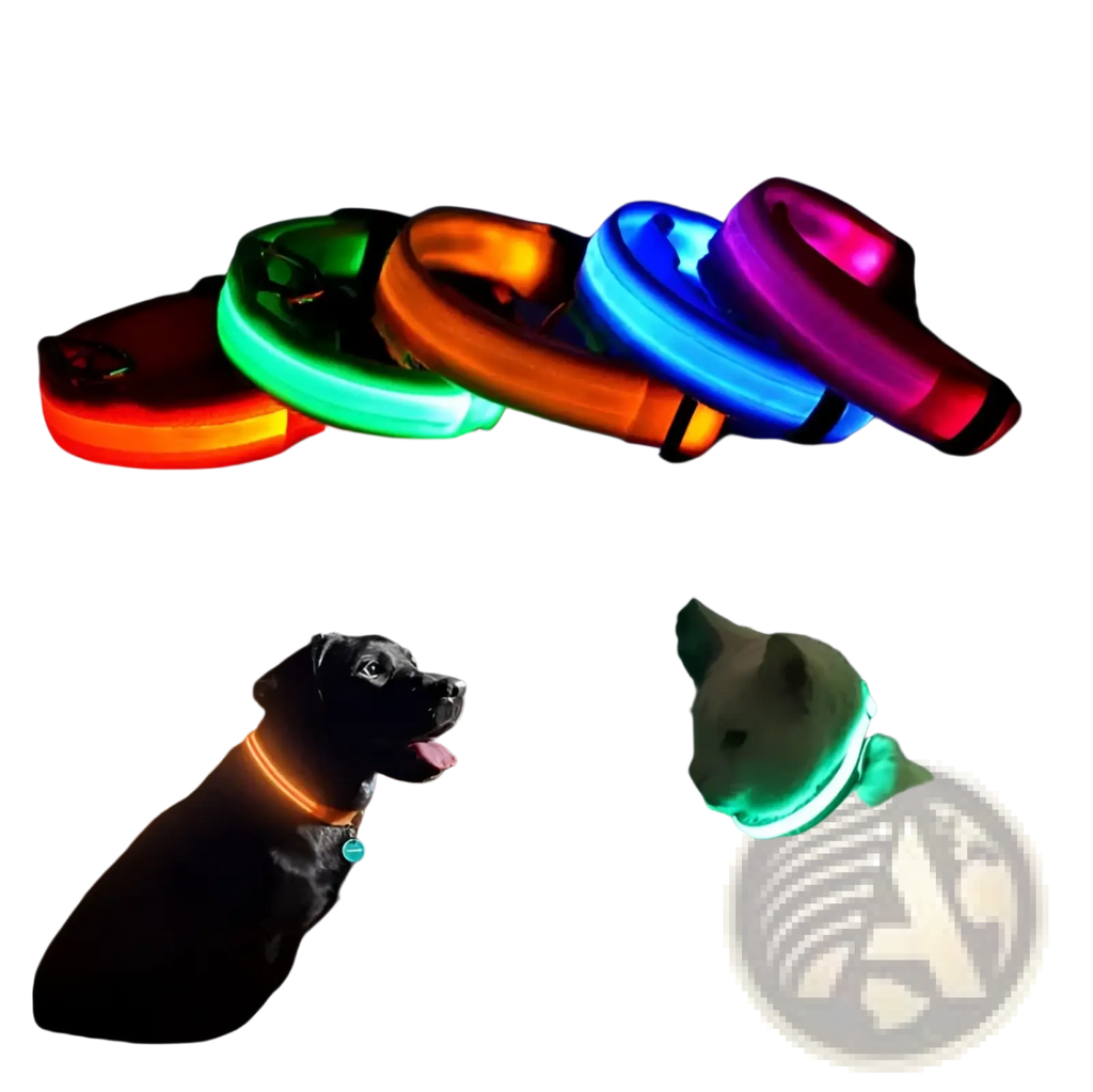 Neon-colored led dog collars in red green orange blue and pink with reflective light up safety halo belt design