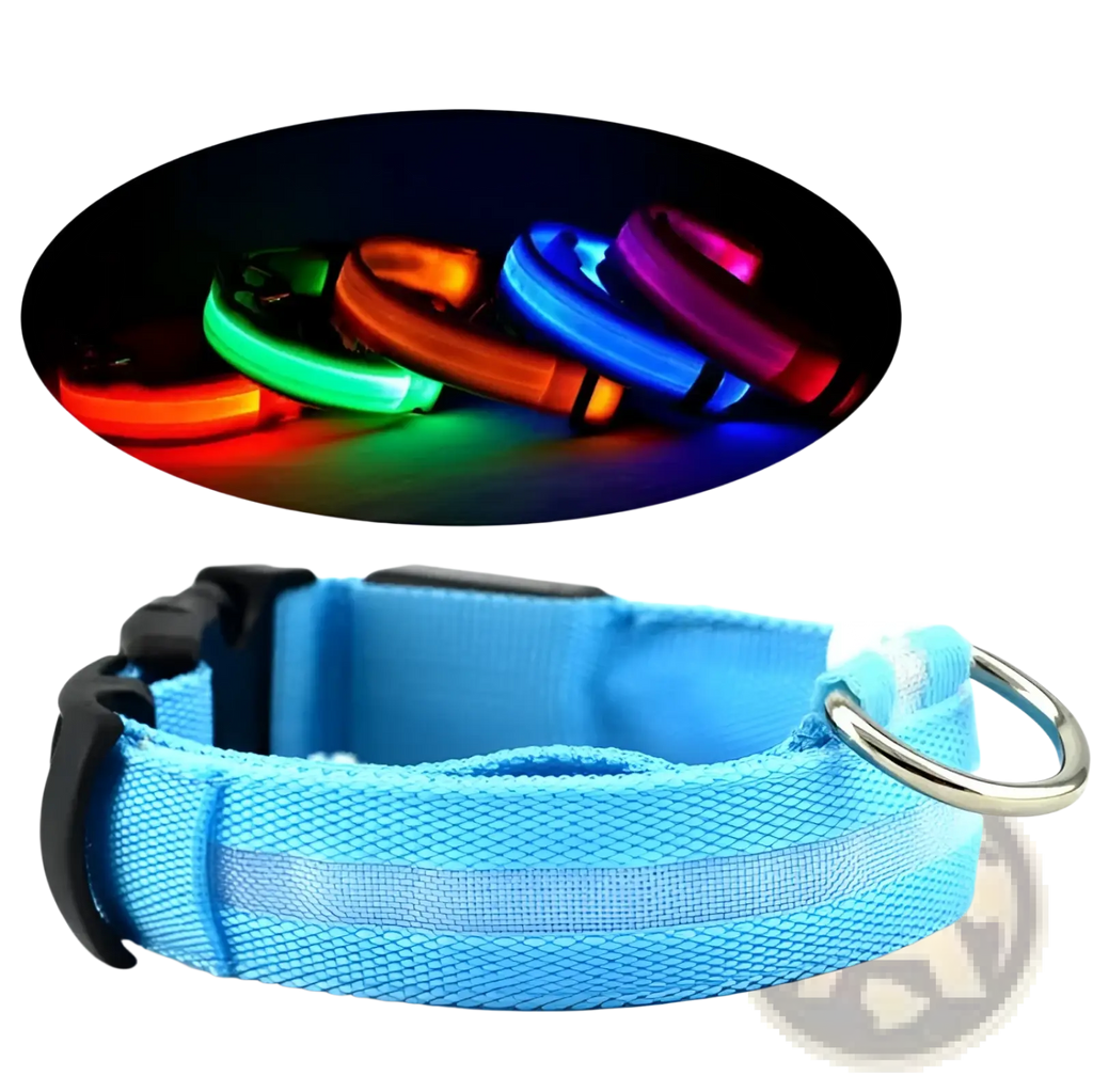 Led dog collar reflective light up safety halo belt in bright blue fabric with reflective strip and glowing led options