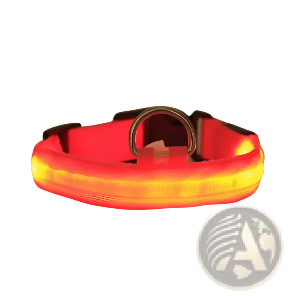 Led dog collar reflective light up safety halo belt glowing red and yellow with metal d-ring buckle for visibility