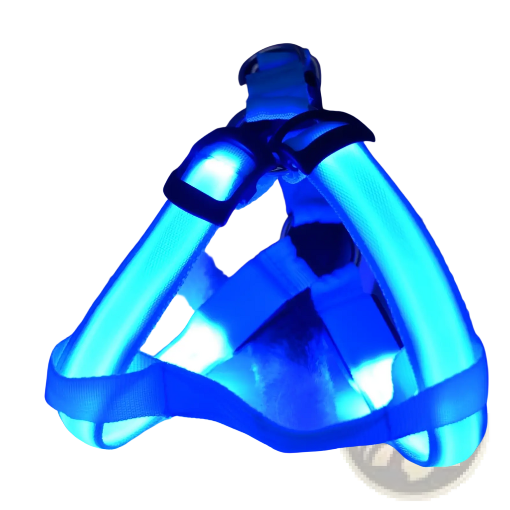 Blue led light up dog harness with glowing reflective straps and black adjustable buckles for pet safety