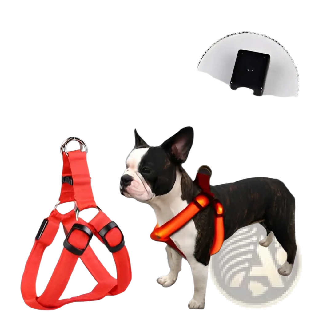 Red reflective dog harness with black plastic hardware and built-in led light for enhanced night visibility