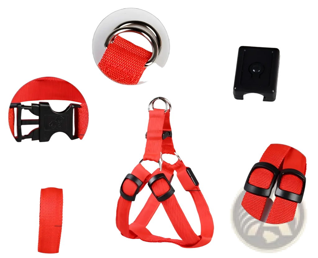 Red nylon led light up dog harness with black buckles and metal d-rings for glowing reflective pet safety