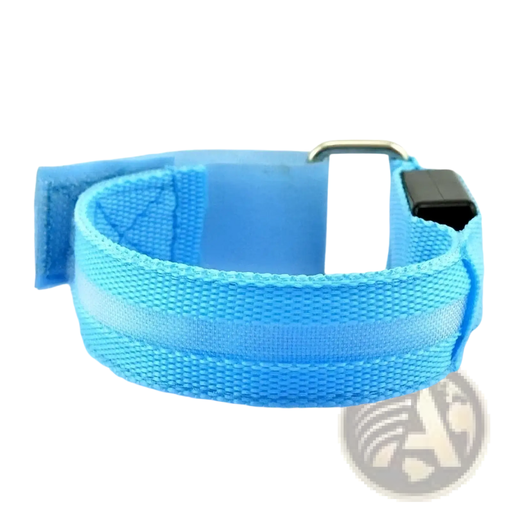 Led running armband usb rechargeable safety light featuring a light-up blue dog collar with reflective strip