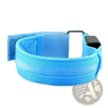 Led running armband in blue with usb rechargeable light up dog collar and reflective strip for safety visibility