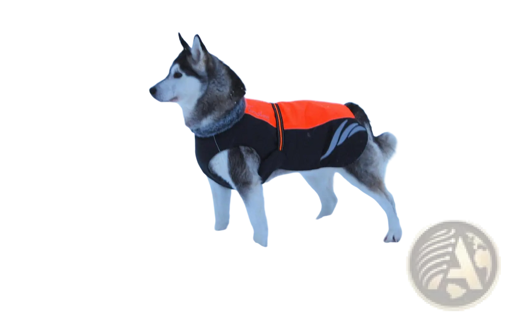 Led waterproof dog down jacket winter warm in black and orange with reflective stripes showing the back side