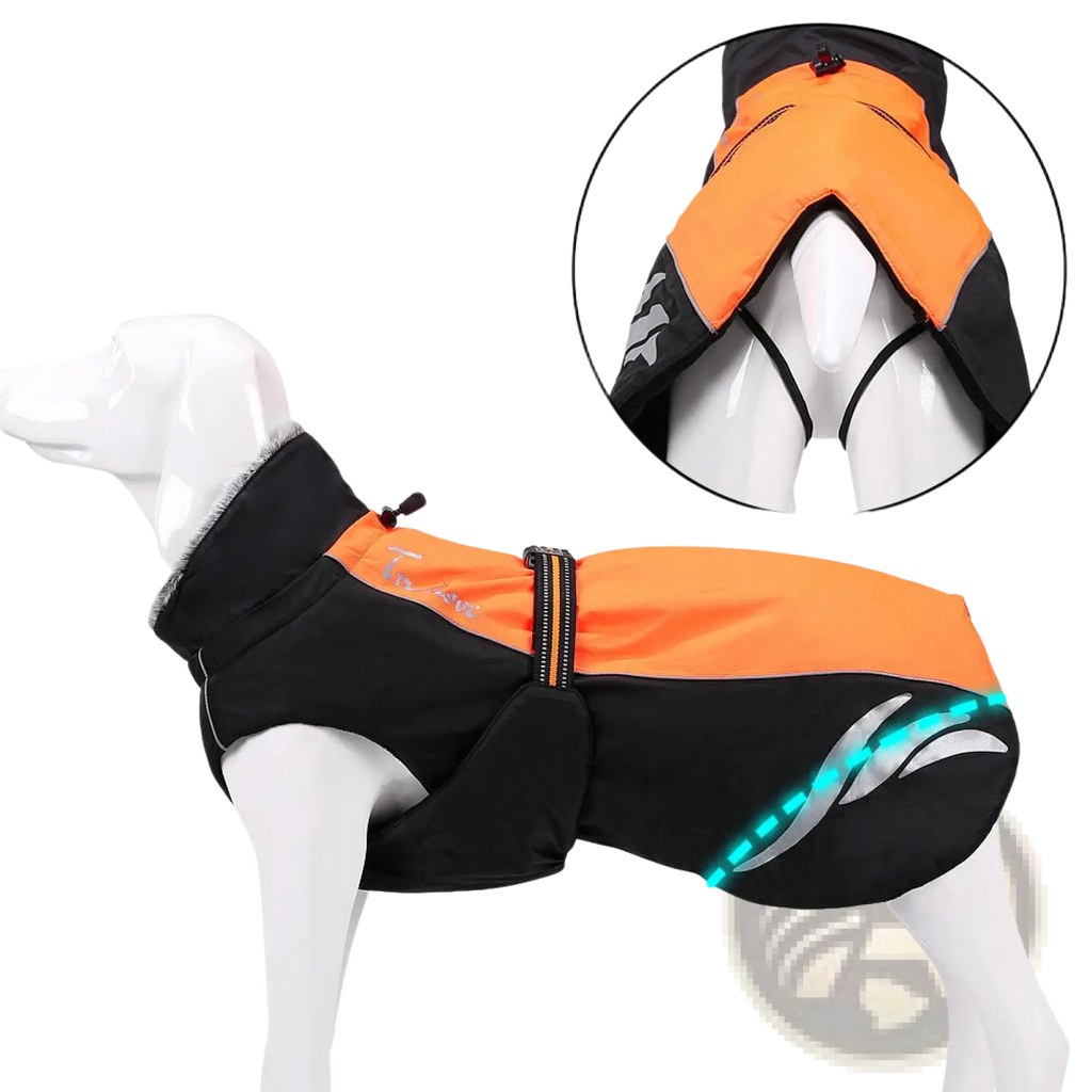 Bright orange and black led waterproof dog down jacket with reflective silver stripes and glowing blue led lights on the back side